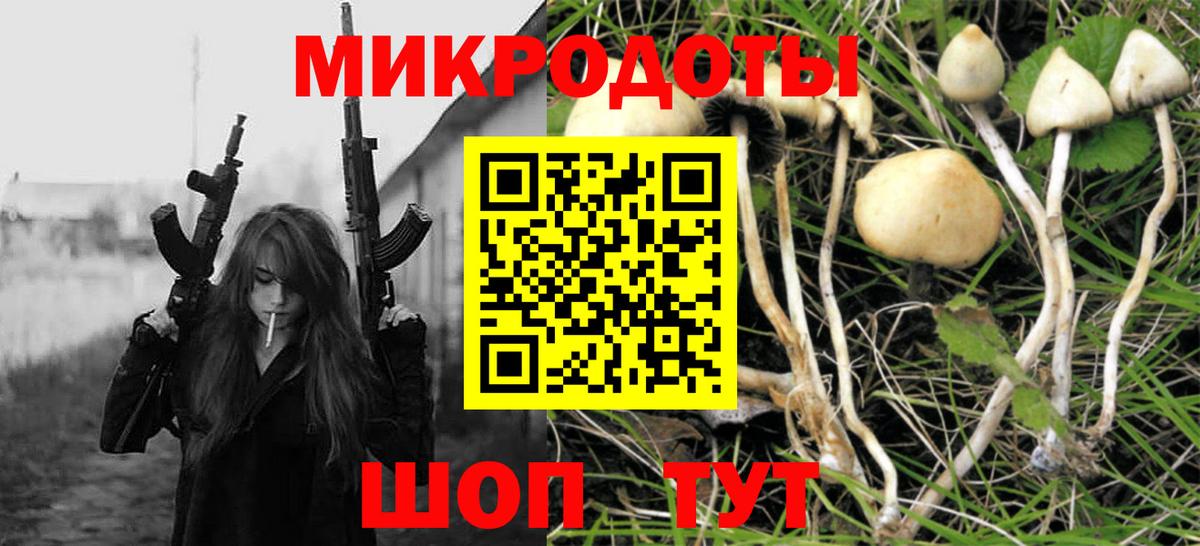 Галлюциногенные грибы GOLDEN TEACHER Чапаевск